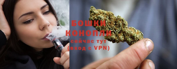 крисы Нея