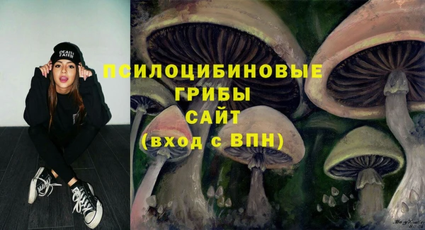 крисы Нея