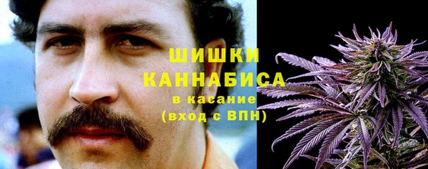дмт Новодвинск