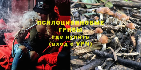 jwh Новокубанск