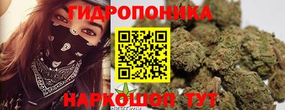 мяу мяу мука Ирбит