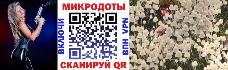 hydra ТОР  продажа наркотиков  Рославль  Псилоцибиновые грибы Psilocybine cubensis 
