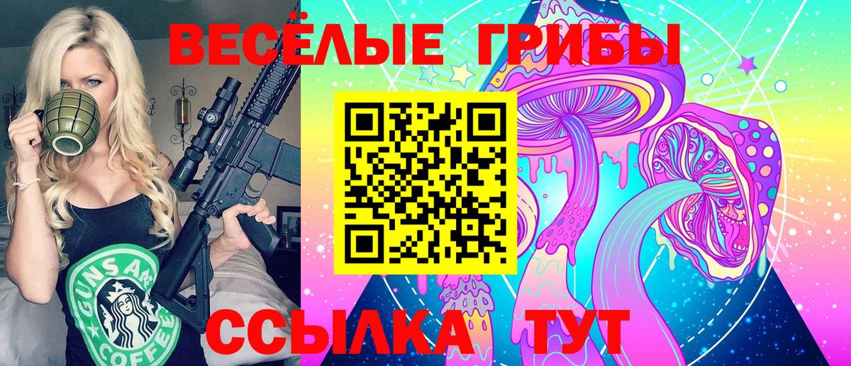Псилоцибиновые грибы GOLDEN TEACHER  Вход с VPN  Рославль 