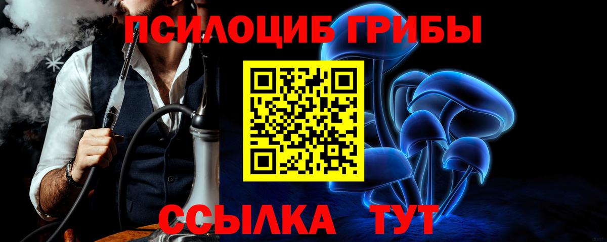 Псилоцибиновые грибы Cubensis Рославль
